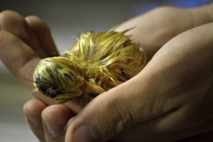 South Western Farm Stay