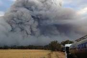 Bushfire in the Southern Forests
