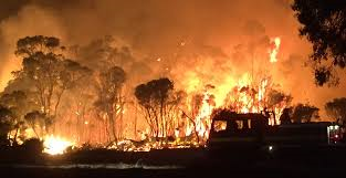 Bushfire at Northcliffe