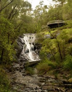 Beedelup Falls Southern Forest Attractions Pemberton Attractions
